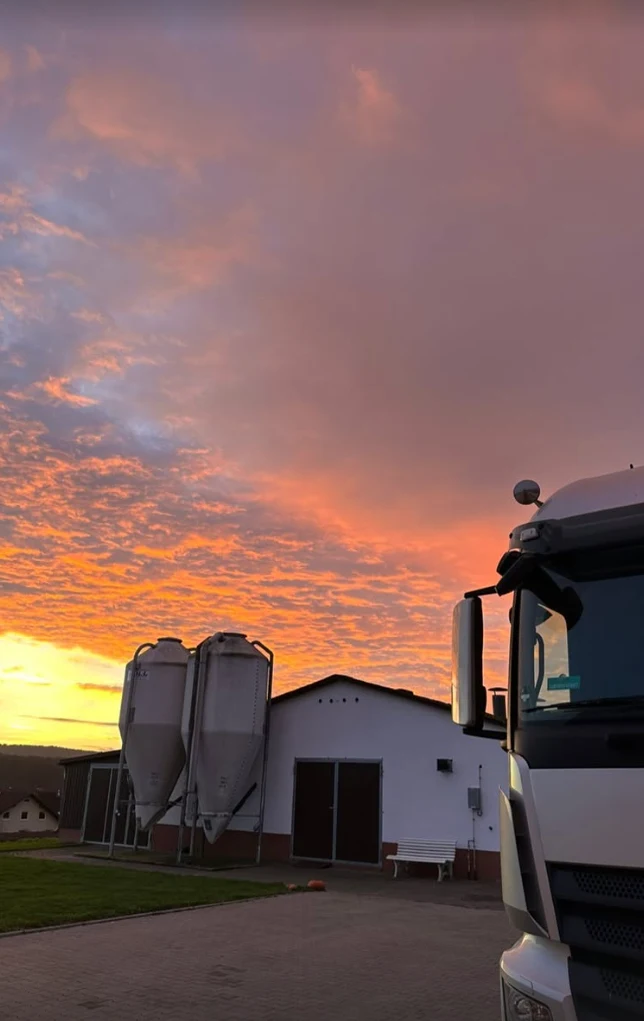 Sonnenuntergang über den Stallen mit Futter-Silos und LKW · Geflügelhof Reinkemeier